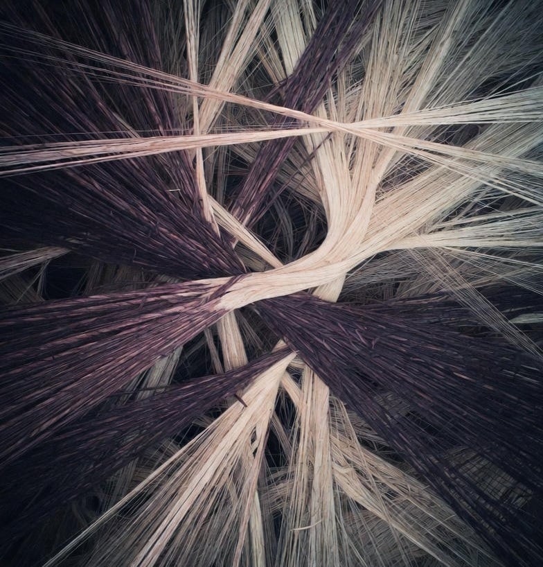 Cover Image for Decisions